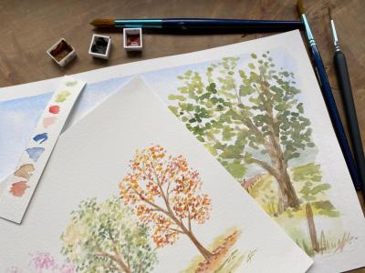 stage aquarelle loir et cher